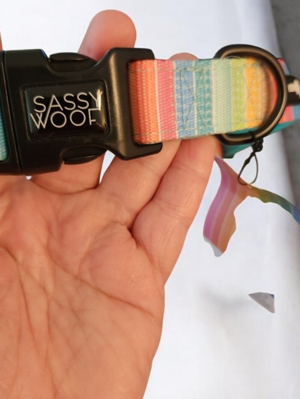Sassy Woof Rainbow Stripe Dog Collar - Multicolor